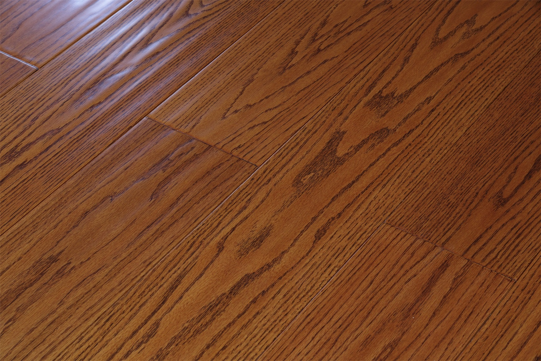 美國(guó)紅橡5039