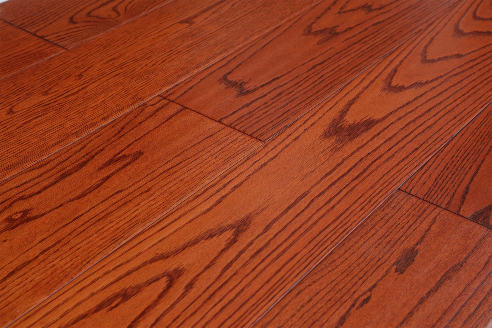 美國(guó)紅橡5060